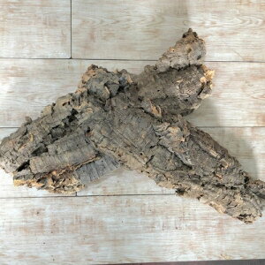 �R�E�������� �r�J�N�V�_ �����@�R���N�t���b�g M�T�C�Y(�`�󂨂܂���)�@�t�� �n���M���O �݂邷 �݂� �R���N�{�[�h �v���[�g �t���[�� �A���ւ� �A�ւ�