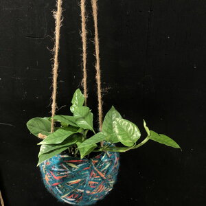 nMO@[{[nMO B11(9cm) 31001@nMOJo[ ݂蔫 ݂蔫Jo[ 