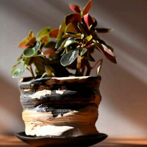 �~���[���~���@MJ-011�@���-�݂�(������75×90mm)�y�C���e���A�E�������E�����z�y�I�V�����ɏ���z�y�����E�R�[�f�b�N�X�z�y�A�����ފ�z�y���킢���E�����������z