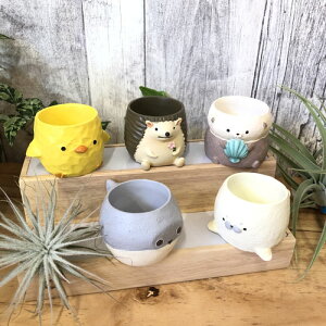 |bg@gW|bgBi/38×H35mmj@  Aj} A