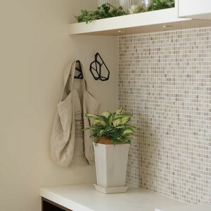 |bg@tH[XNGA|bg 5`10@@v^[ CeA Ebh ؖڒ