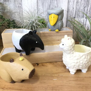 |bg@gW|bgDi/38×H35mmj@  Aj} A