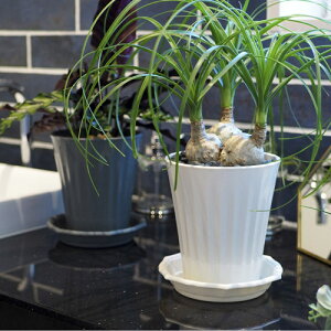 M Abv@X^Cv[g 5 v[g M IV 