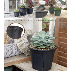 |bg@悵 4`9@ Xbg C ʋC