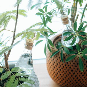  v^[ɑ}@nI HARIO KX  ϗtA 