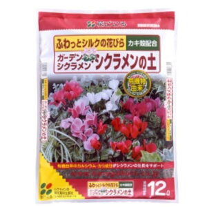 ԂK[fVNEVN̓y 5LyVNzyL@RzyԂzyppyzyJVEz