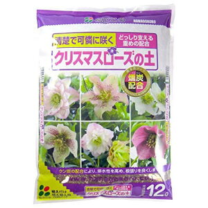 Ԃ@NX}X[Y̓y@12Lyppyzyrzyrzyǂzyɍs엿zzy4_܂ōwz