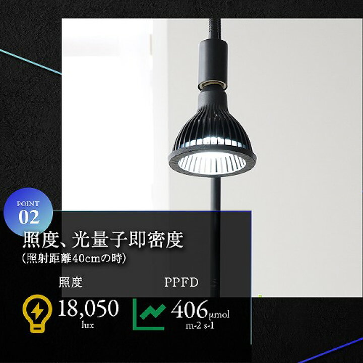 楽天市場】LEDライト BARREL(バレル) NEO AMATERAS(ネオ アマテラス 