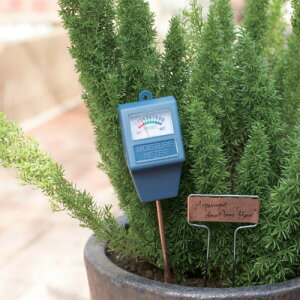 D@Rbp[x oi[^Cv 4 54002@x O A ϗtA