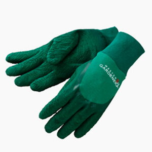 nC|lbNX@}X^[K[fi[@fB[Xp@TGL200My3܂ŃlR|Xzy܁zy΂EoEKNzyRbg100zyebNXR[eBOzytBbgz