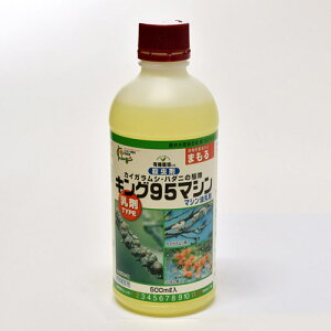 }V 500mlyJCKVzyn_jzyL@͔|zyLO|z