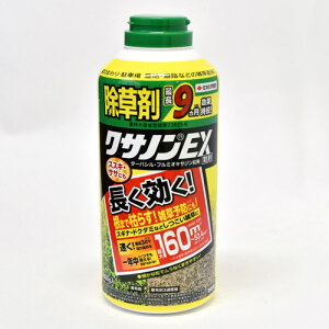 �N�T�m��EX���� 800g�y�Z�F���w���|�z�y�����܁z