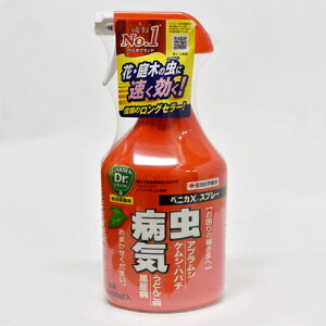 xjJXXv[ 1000mlyEEۍ܁zyI[}CeBzyzyZFw|z