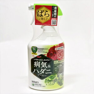 GFXgbvWRXv[ 900mlyEEۍ܁zyn_jzyϗtAzyZFw|z