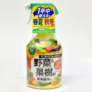 xjJxWtXv[ 1000mlyE܁zy؁zyƒ؉zyZFw|z