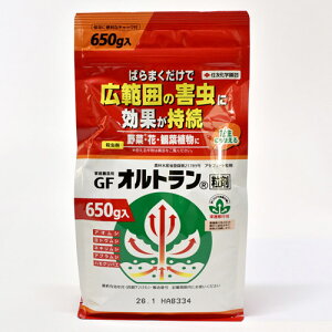 GFIg 650gyE܁zyI[}CeBzyZFw|z