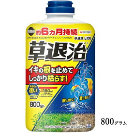 除草剤　草退治E粒剤　雑草 根まで枯らす まくだけ スギナ