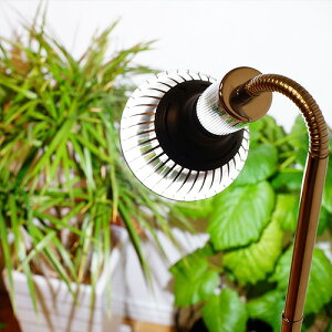 楽天市場 Barrel Amateras アマテラス Led 10w 植物育成灯 アクアリウム テラリウム パルダリウム 太陽光led 水草 育成 観葉植物 Barrel ｌｅａｆｓ