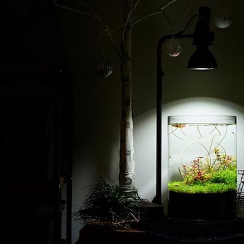 楽天市場】BARREL AMATERAS(アマテラス) LED 10W【植物育成灯 