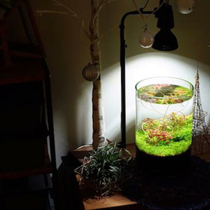 楽天市場 Barrel Amateras アマテラス Led 10w 植物育成灯 アクアリウム テラリウム パルダリウム 太陽光led 水草育成 観葉植物 Barrel ｌｅａｆｓ