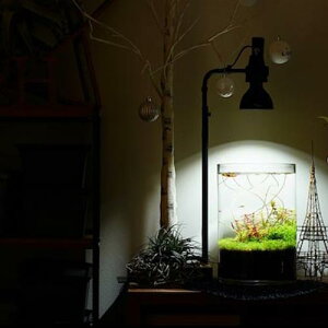 楽天市場 Barrel Amateras アマテラス Led 10w 植物育成灯 アクアリウム テラリウム パルダリウム 太陽光led 水草 育成 観葉植物 Barrel ｌｅａｆｓ