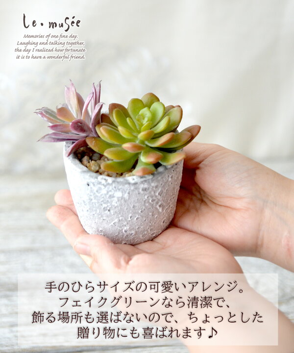 楽天市場 インテリアグリーン 多肉植物 ミニポット フェイク グリーン 造花 全3種類 ミニインテリア インテリア ギフト プレゼント おしゃれ かわいい 人気 花 贈り物 母の日 ホワイトデー 小さめ ウェディング ギフト ミュゼ