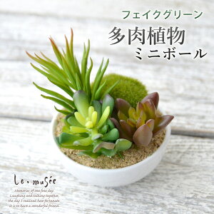 多肉植物 ギフト おしゃれの人気商品 通販 価格比較 価格 Com 多肉植物 ギフト おしゃれの人気商品 通販 価格比較 価格 Com