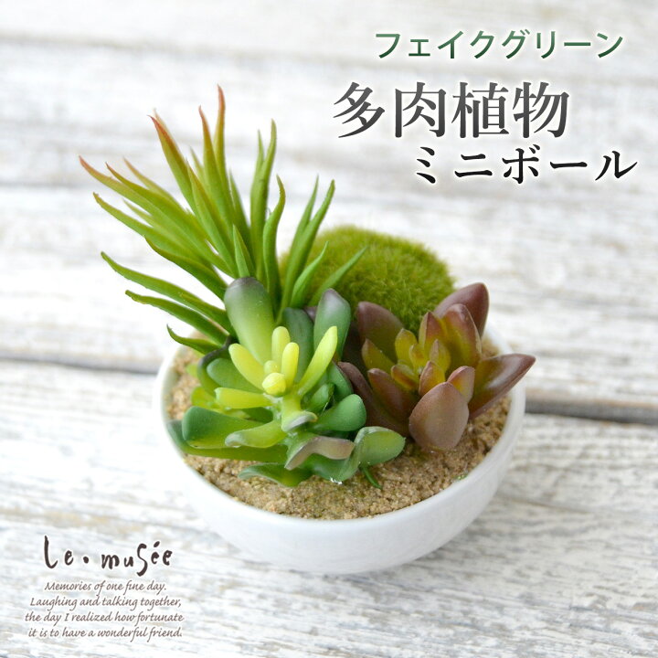 楽天市場 インテリアグリーン 多肉植物 ミニボール フェイク グリーン 造花 ミニインテリア インテリア ギフト プレゼント おしゃれ かわいい 人気 花 贈り物 母の日 ホワイトデー 小さめ ウェディング ギフト ミュゼ