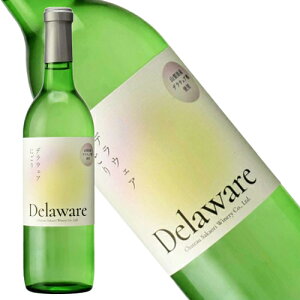 2025NV@Vg[܃Ci[@fEFAɂ@2025N@Ki@Ì@C@750ml yVg[܃Ci[zVC@{C@XeBC@MtgΉ