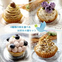 1位受賞 / 美味しくて可愛いヴィーガンケーキ【4個 】グルテンフリー 植物性素材 豆乳 ビーガン フォーチュンキッチン 米粉 誕生日 ミニサイズ タルト ほうじ茶 チーズケーキ モンブラン プレゼント 贈り物 ラッピング メッセージカード