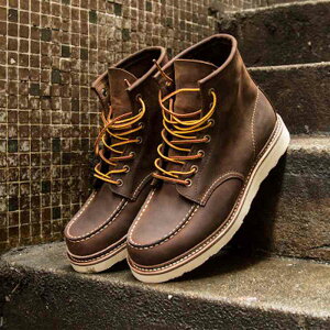 y_N[|p20%OFF!^z u[c Y C  y H ~ Wbp[ L h h U[ t@Xi[ S g u[ctg [h v XG[h {v Zbg V[Y Ȃ T