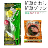 【 お買い物マラソン 5月9日20時～ 】 雑草たわし＆雑草ブラシ(トンダリタイプ) 雑草ねこそぎセット 草取…