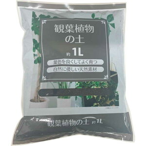 ϗtA̓y@1L[ϗtA y A | 100]