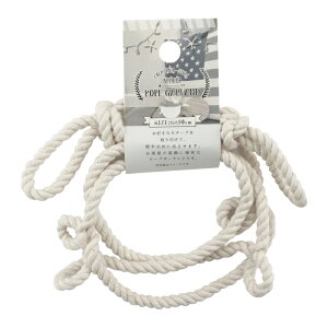 [vK[h[C C݃X^C CeA [v tbN  G DIY   ObY T}[  } 100]