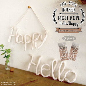  [v[JtF    i` C C݃X^C CeA [v tbN  G DIY   ObY T}[  } 100 GI[]