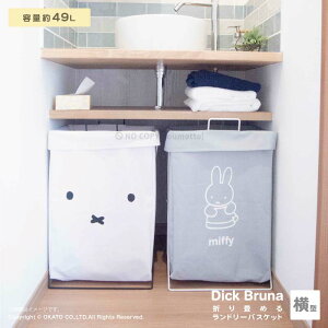 Dick Bruna ܂߂ h[ oXPbg ^ 49L[h[obO h[{bNX Xg[WobO  [BOX 󂩂 ܂肽 IV  Vv k oXP