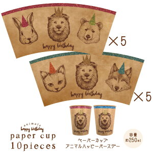 y[p[JbvyBNzAj}o[Xf[ 10 2A\[g[p[eB[ Jbv Rbv ĝ IV  킢  fR[V  fBXvC G p[eB[Ob