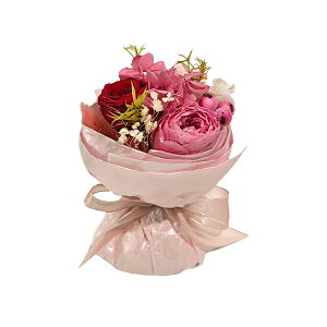 y撅zN[|zVEhEt[ vU[uht[ AW {t NAP[X fUC ~ju[P Mtg CeA v[g ԑ