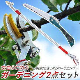 楽天市場 のこぎり 手入れ 油の通販