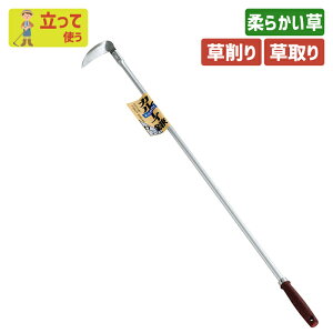 yBLACK FRIDAY|Cg5{zԌI}Pt J|CiA~pCvj K[fjO L  z[ N yȂ炵 yx @ yN   |pi 