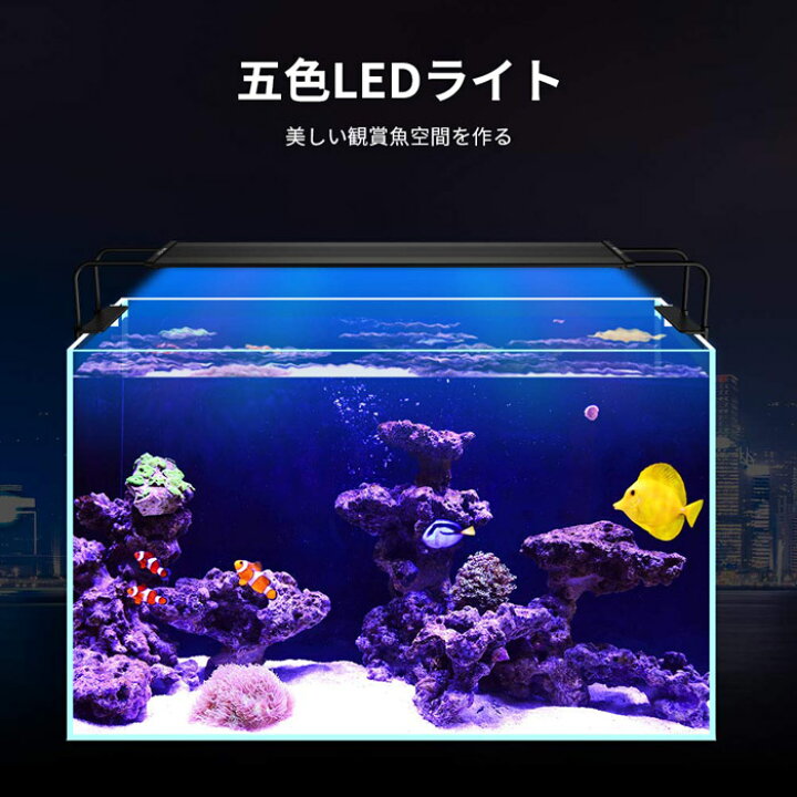 楽天市場 水槽ライト アクアリウムライト Led 観賞魚ライト 42 65cm 水槽対応 水草育成 水槽用照明 省エネ リリミア 楽天市場 水槽ライト アクアリウムライト Led 観賞魚ライト 42 65cm 水槽対応 水草育成 水槽用照明 省エネ リリミア