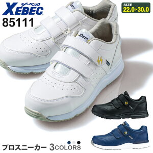 XEBEC vXj[J[ 85111 W[xbN ƌC yʔNz c Ódѓdh~C V[Y [NV[Y X^rCU[  R L Ռz yʃ\[ jp mcn