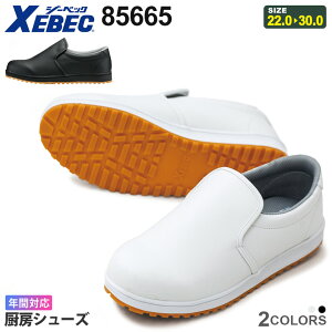 XEBEC ~[V[Y 85665 W[xbN ƌC yʔNz C C [NV[Y Xb| [Jbg ϊ jp ySP\[ ϊ\[ Ȃ Dw }^jeB DP mcȂ