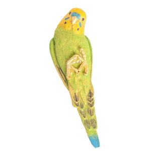 �j�M�R���|�[�Y�i�O���[���J���[�j �u���[�`�FPalnart Poc�i�p���i�[�g�|�b�N�j