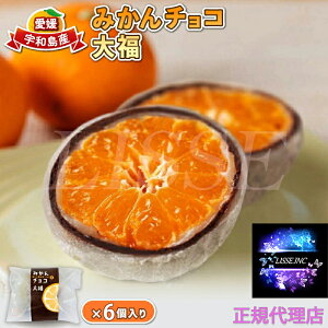 ̐^啟 6ϔ ݂&`R啟 p[ 啟 j  蕨 XC[c Ε Mtg v[gXC[c [J[ Ⓚz K㗝X