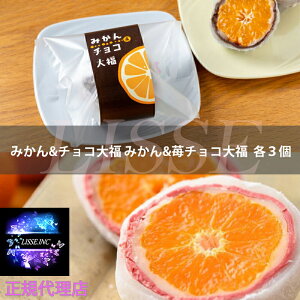̐^啟 6ϔ ݂&`R啟 ݂&䕃`R啟 e3 p[ 啟 j  蕨 XC[c Ε Mtg v[gXC[c [J[ Ⓚz K㗝