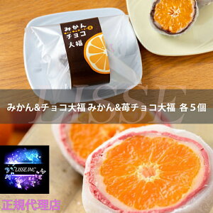 ̐^啟 10ϔ ݂&`R啟 ݂&䕃`R啟 e5 p[ 啟 j  蕨 XC[c Ε Mtg v[gXC[c [J[ Ⓚz K㗝