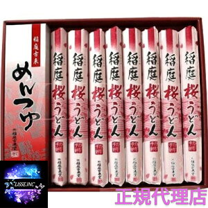 ǂ񂽂t880g 110g×8 t SKR-01 Mtg j j p Ε Ε  䒆 Yn K㗝X