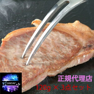 �{�茧�Y���[�X�X�e�[�L 120g×3�_������ ���Ε� �M�t�g ���蕨 ���� �M�t�g ���� ���K�㗝�X