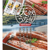 天然うなぎ 蒲焼き 無頭 真空パック 四万十うなぎ 鰻 蒲焼き 国内産 ご飯のお供 おかず 家飲み お中元 ギ…